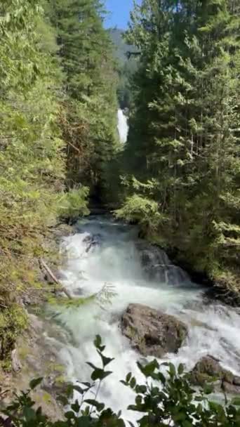 Video Der Unteren Wallace Wasserfälle Die Während Der Frühjahrssaison Washington — Stockvideo