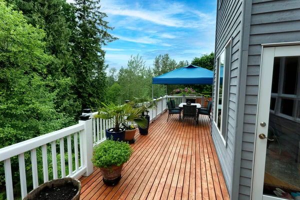 Walk Out Home Wood Deck Spring Season Tree Potted Plants Stock Image
