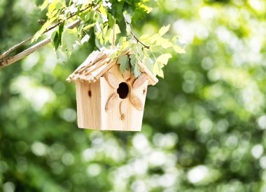 New wood bird house hanging from tree branch during summer season with bright green background  clipart