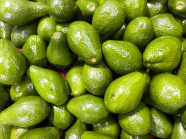 Çerçeve biçiminde olgun yeşil avokado 