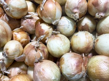 Çerçeve biçimi arkaplanında olgun sarı soğan