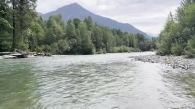 Marblemount Washington 'daki çağlayan nehir yaz başında akar.
