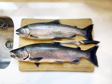 Mutfak tezgahının yanında fileto bıçağıyla temizlenmeye hazır iki taze Pasifik somon balığı görülüyor. 