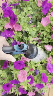 Yaz başında güvertedeki erkek el sulama bitkisinin kapağını kapatın. 