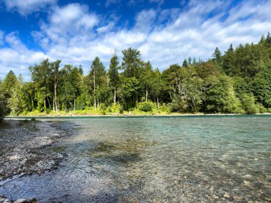 Yaz mevsiminin sonlarında Washington 'daki Skagit nehrinin su renginde güzel akarsu ve ağaçlar artı arka planda bulutlu mavi gökyüzü 