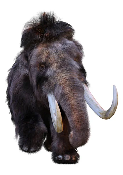 Återgivning Ullig Mammut Isolerad Vit Bakgrund — Stockfoto