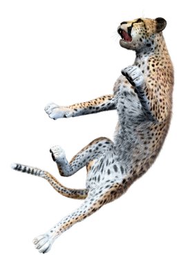 Beyaz arka planda izole edilmiş büyük bir kedi çitanın 3 boyutlu görüntülemesi