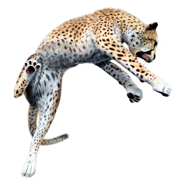 Rendering Eines Raubkatzengeparden Isoliert Auf Weißem Hintergrund — Stockfoto