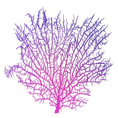 Beyaz arka planda izole edilmiş bir deniz omurgasızı olan hayran mercanının 3 boyutlu görüntüsü