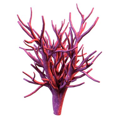 Bir mercanın 3 boyutlu görüntüsü, beyaz arka planda izole edilmiş bir deniz omurgasızı.