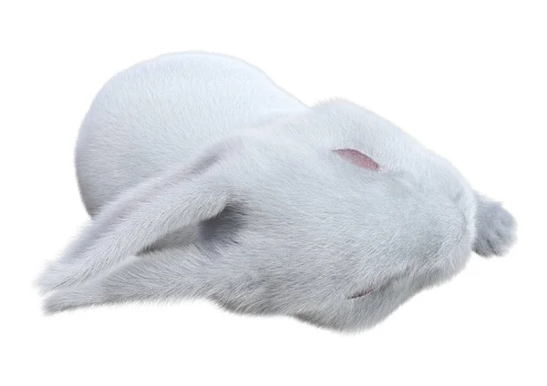 Representación Conejo Blanco Aislado Sobre Fondo Blanco — Foto de Stock