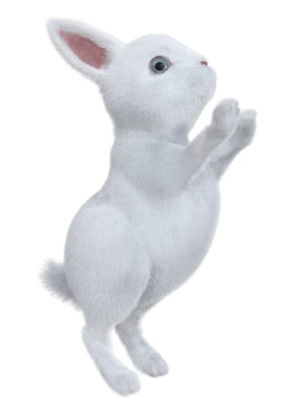 Beyaz Arkaplanda Izole Edilmiş Bir Beyaz Tavşanın Görüntülemesi — Stok fotoğraf