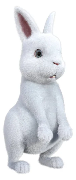 Rendering White Bunny Isolated White Background — Stock Photo, Image