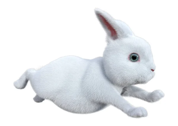 白い背景に隔離された白いウサギの3Dレンダリング — ストック写真