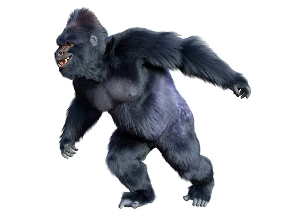 Beyaz Arkaplanda Izole Edilmiş Bir Siyah Goril Görüntüsü — Stok fotoğraf