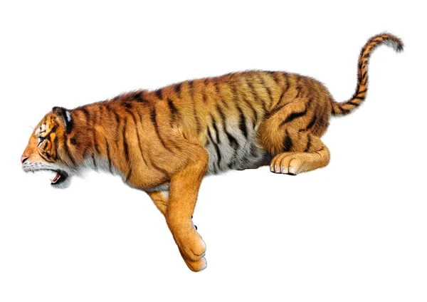 Renderelés Egy Nagy Macska Tigris Elszigetelt Fehér Háttér — Stock Fotó