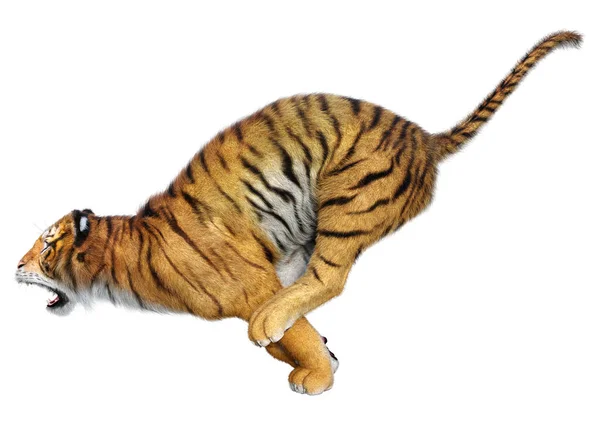 Vykreslení Velkého Kočičího Tygra Izolovaného Bílém Pozadí — Stock fotografie
