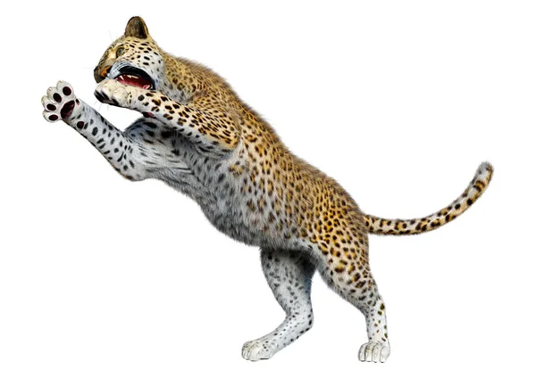 Рендеринг Большого Кошачьего Леопарда Белом Фоне — стоковое фото