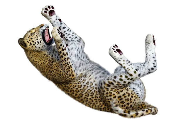 Рендеринг Большого Кошачьего Леопарда Белом Фоне — стоковое фото