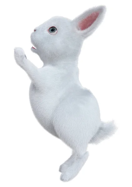 白い背景に隔離された白いウサギの3Dレンダリング — ストック写真