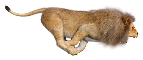 Darstellung Eines Männlichen Löwen Isoliert Auf Weißem Hintergrund — Stockfoto