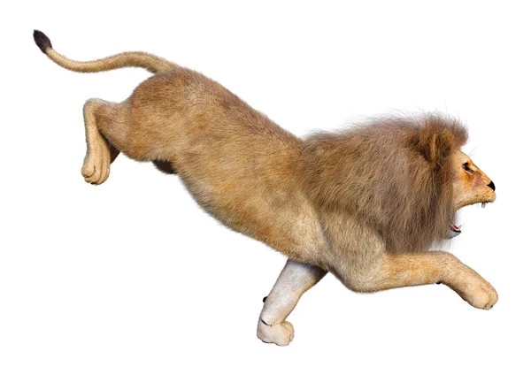 Rendering Male Lion Isolated White Background — Stock Photo, Image