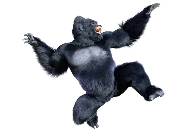 Rendering Dari Kera Gorila Hitam Terisolasi Pada Latar Belakang Putih — Stok Foto
