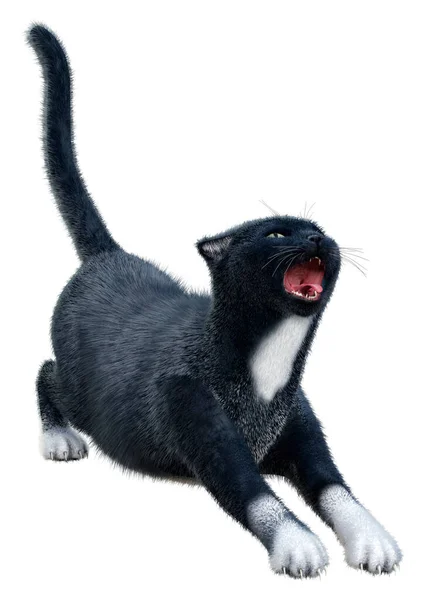 白色背景下孤立的黑家猫的3D渲染 — 图库照片