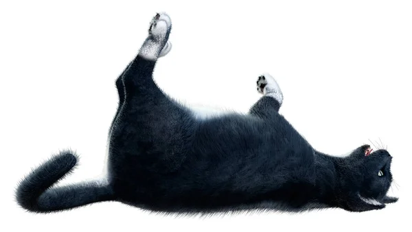 白地に隔離された黒猫の3Dレンダリング — ストック写真