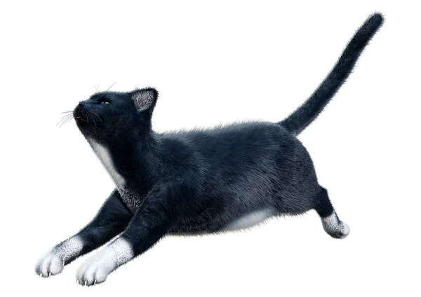 Απόδοση Μιας Μαύρης Οικιακής Γάτας Απομονωμένης Λευκό Φόντο — Φωτογραφία Αρχείου