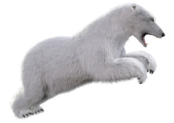 Візуалізація Білого Ведмедя Ізольовано Білому Тлі — стокове фото