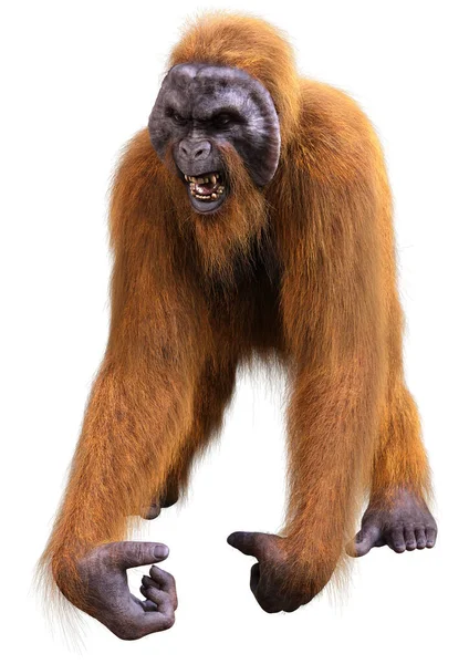 Візуалізація Мавпи Орангутанга Ізольовано Білому Тлі — стокове фото