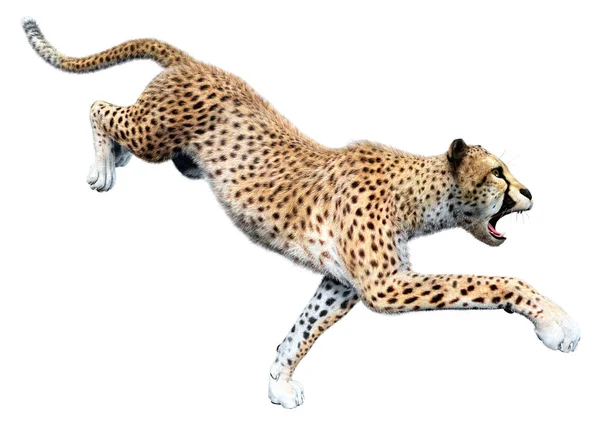 Återgivning Stor Katt Gepard Isolerad Vit Bakgrund — Stockfoto