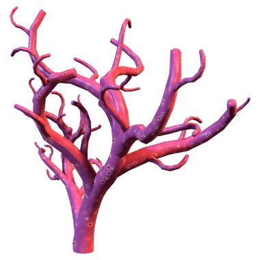 Bir mercanın 3 boyutlu görüntüsü, beyaz arka planda izole edilmiş bir deniz omurgasızı.