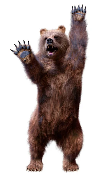 Vykreslení Hnědého Medvěda Izolovaného Bílém Pozadí — Stock fotografie
