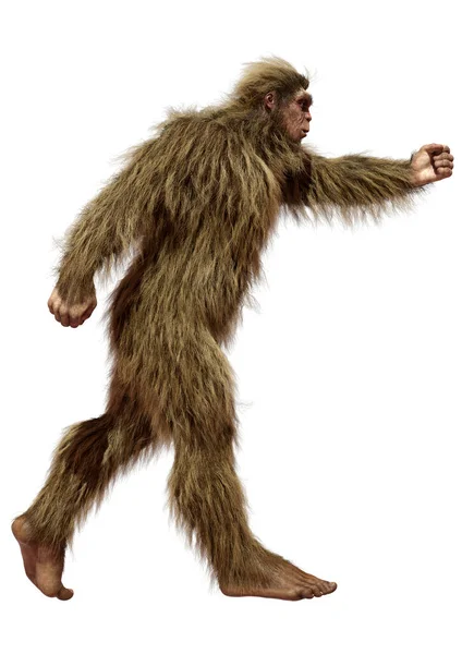Απόδοση Ενός Sasquatch Bigfoot Απομονώνονται Λευκό Φόντο — Φωτογραφία Αρχείου