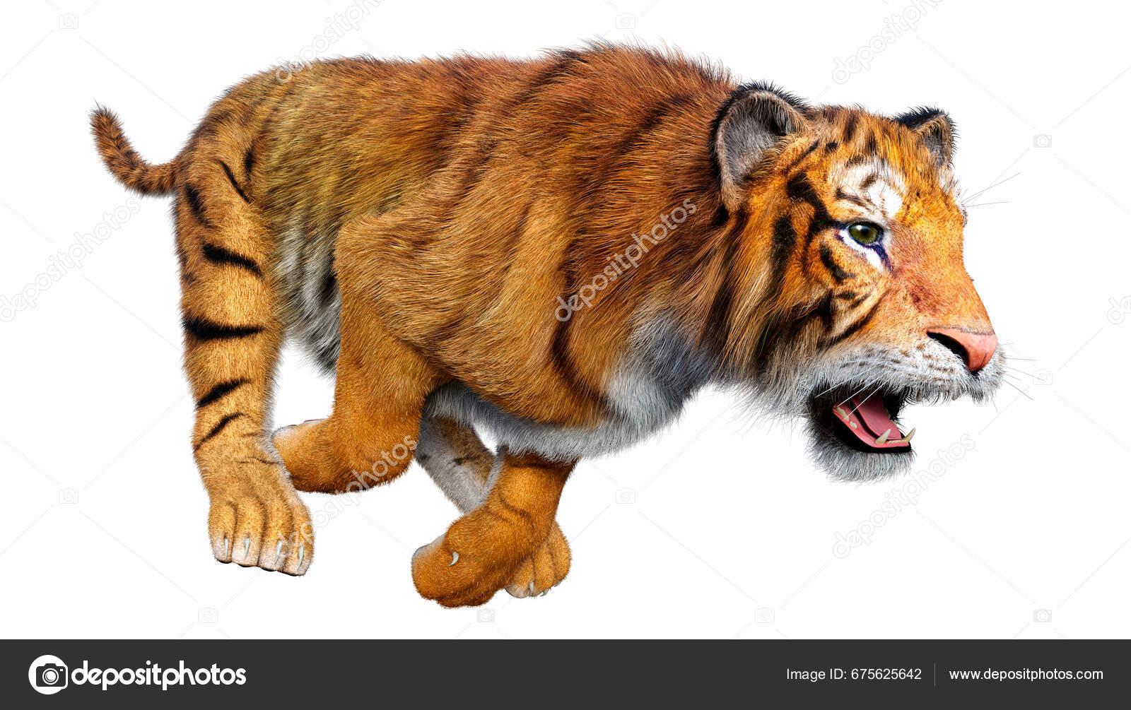 Renderização 3d De Um Grande Tigre De Gato Isolado No Fundo Branco