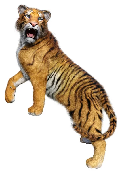 Representación Tigre Gato Grande Aislado Sobre Fondo Blanco — Foto de Stock