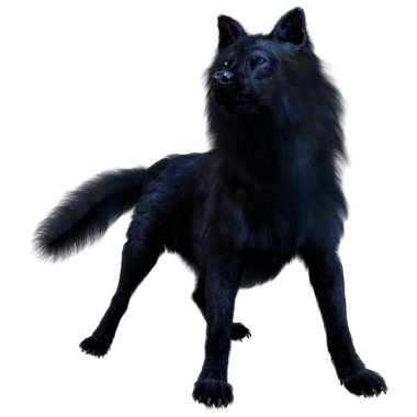 Beyaz arkaplanda izole edilmiş bir siyah kurdun 3D görüntüsü