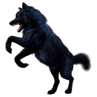 Beyaz arkaplanda izole edilmiş bir siyah kurdun 3D görüntüsü