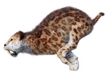 Kılıç dişli kaplanın 3 boyutlu görüntüsü beyaz arkaplanda izole edilmiş.