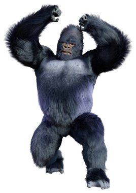 Beyaz arkaplanda izole edilmiş bir siyah goril görüntüsü