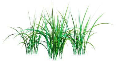 Beyaz arkaplanda izole edilmiş bir çimen parçasının 3B görüntülemesi