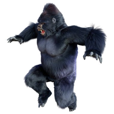 Beyaz arkaplanda izole edilmiş bir siyah goril görüntüsü