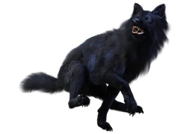 Beyaz arkaplanda izole edilmiş bir siyah kurdun 3D görüntüsü