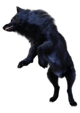 Beyaz arkaplanda izole edilmiş bir siyah kurdun 3D görüntüsü