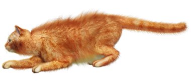 Beyaz arkaplanda izole edilmiş bir kırmızı kedinin 3B görüntülemesi