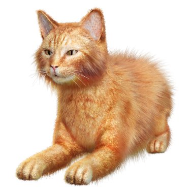 Beyaz arkaplanda izole edilmiş bir kırmızı kedinin 3B görüntülemesi