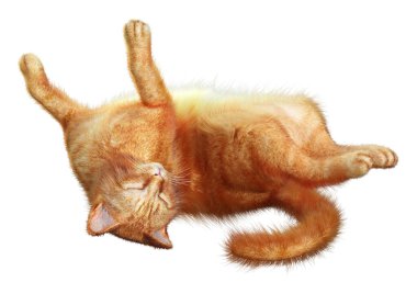 Beyaz arkaplanda izole edilmiş bir kırmızı kedinin 3B görüntülemesi