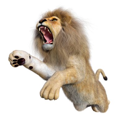 Beyaz arka planda izole edilmiş bir erkek aslanın 3 boyutlu görüntüsü